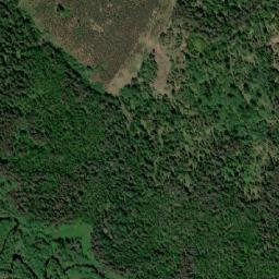 Ostashkovskiy Rayon map(satellite map)