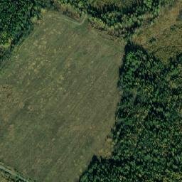 Likhoslavl’skiy Rayon map(satellite map)