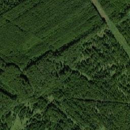 Yaranskiy Rayon map(satellite map)