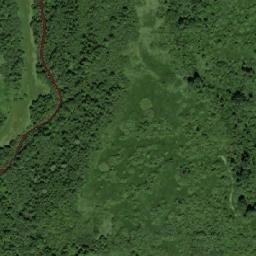 Novorzhevskiy Rayon map(satellite map)