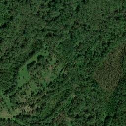 Pushkino-Gorskiy Rayon map(satellite map)
