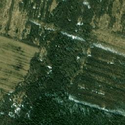 Vinogradovo map(satellite map)