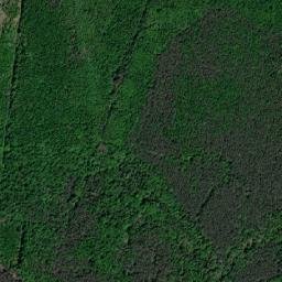 Gorodetskiy Rayon map(satellite map)