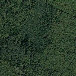 Voskresenskiy Rayon map(satellite map)