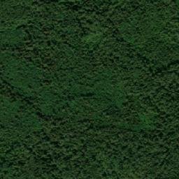 Kuzhenerskiy Rayon map(satellite map)