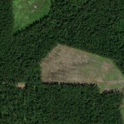 Mari-Turekskiy Rayon map(satellite map)