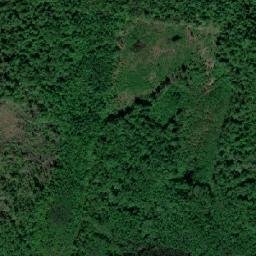 Malmyzhskiy Rayon map(satellite map)