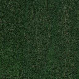 Sysertskiy Rayon map(satellite map)