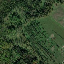 Tomskiy Rayon map(satellite map)