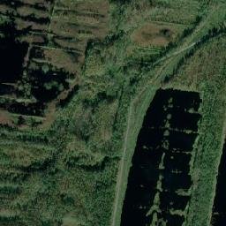 Sitniki map(satellite map)
