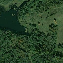 Pustoshkinskiy Rayon map(satellite map)