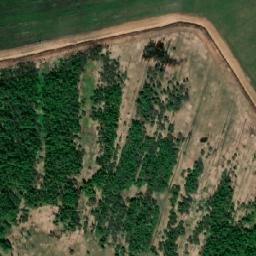 Klinskiy Rayon map(satellite map)