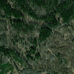 Muromtsevskiy Rayon map(satellite map)