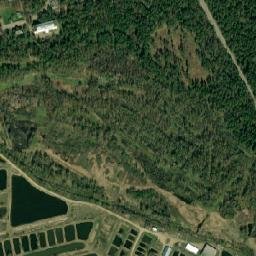 Rybnoye map(satellite map)