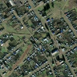 Shitkino map(satellite map)