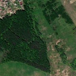 Dmitrovskiy Rayon map(satellite map)