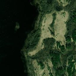 Sebezhskiy Rayon map(satellite map)