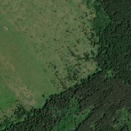 Kol’chuginskiy Rayon map(satellite map)