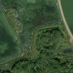 Alberta 64 Hines Creek AB T0H 2A0 Canada High Resolution Satellite Map