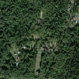 Zelyony Gorod map(satellite map)