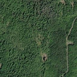 Whale Pass Alaska High Resolution Satellite Map