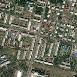 Zelenogorsk map(satellite map)