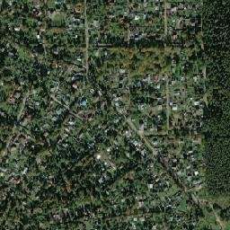 Zelenogradskiy map(satellite map)