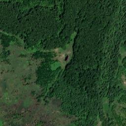 Volokolamskiy Rayon map(satellite map)