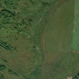 Bogorodskiy Rayon map(satellite map)