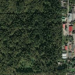 Lesnoy map(satellite map)