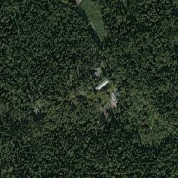 Kostino map(satellite map)
