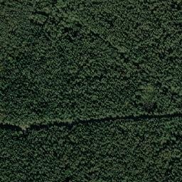 Mytishchi Urban Okrug map(satellite map)