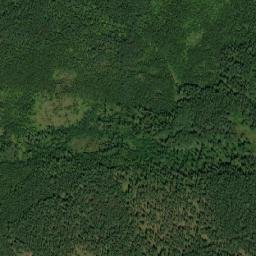 Sudogodskiy Rayon map(satellite map)
