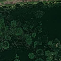 Armizonskiy Rayon map(satellite map)