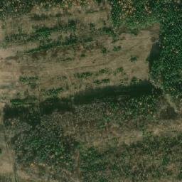 Ilanskiy Rayon map(satellite map)