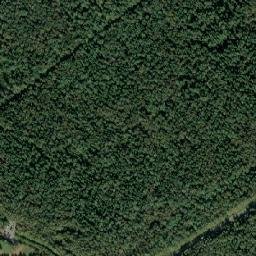 Povedniki map(satellite map)