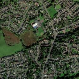 Torrance map(satellite map)
