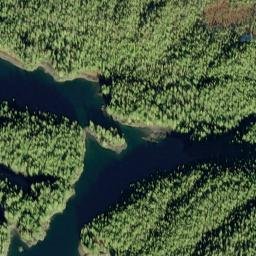 Tokeen Alaska High Resolution Satellite Map