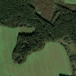 Noginskiy Rayon map(satellite map)