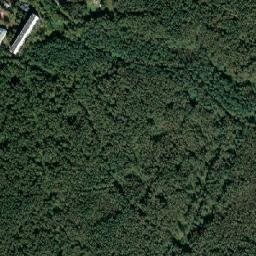Babushkin map(satellite map)