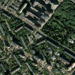 Novokhovrino map(satellite map)
