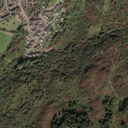 Tarbert map(satellite map)