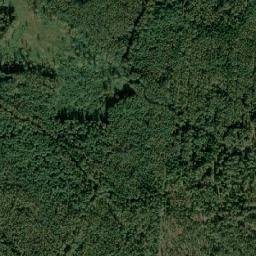 Rasonski Rayon map(satellite map)