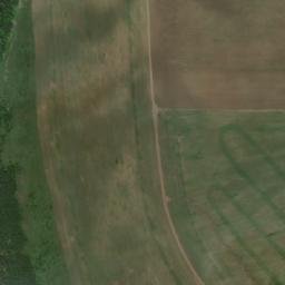 Yelabuzhskiy Rayon map(satellite map)