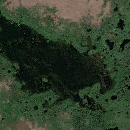 Berdyuzhskiy Rayon map(satellite map)