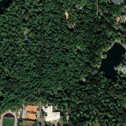 Ostankinskiy map(satellite map)