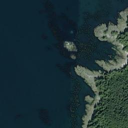 Port Alice Alaska High Resolution Satellite Map