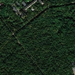 Sokol’niki map(satellite map)