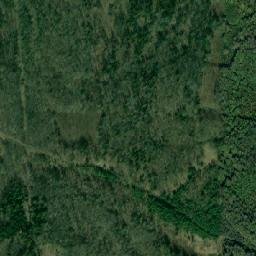 Sosnovskiy Rayon map(satellite map)
