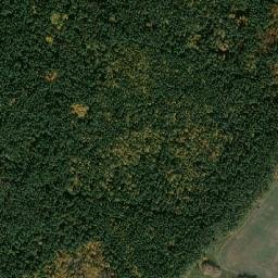 Pestrechinskiy Rayon map(satellite map)